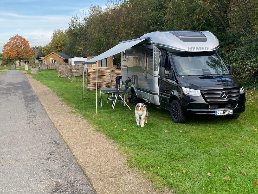Wohnmobil mit Junghund Elvis davor