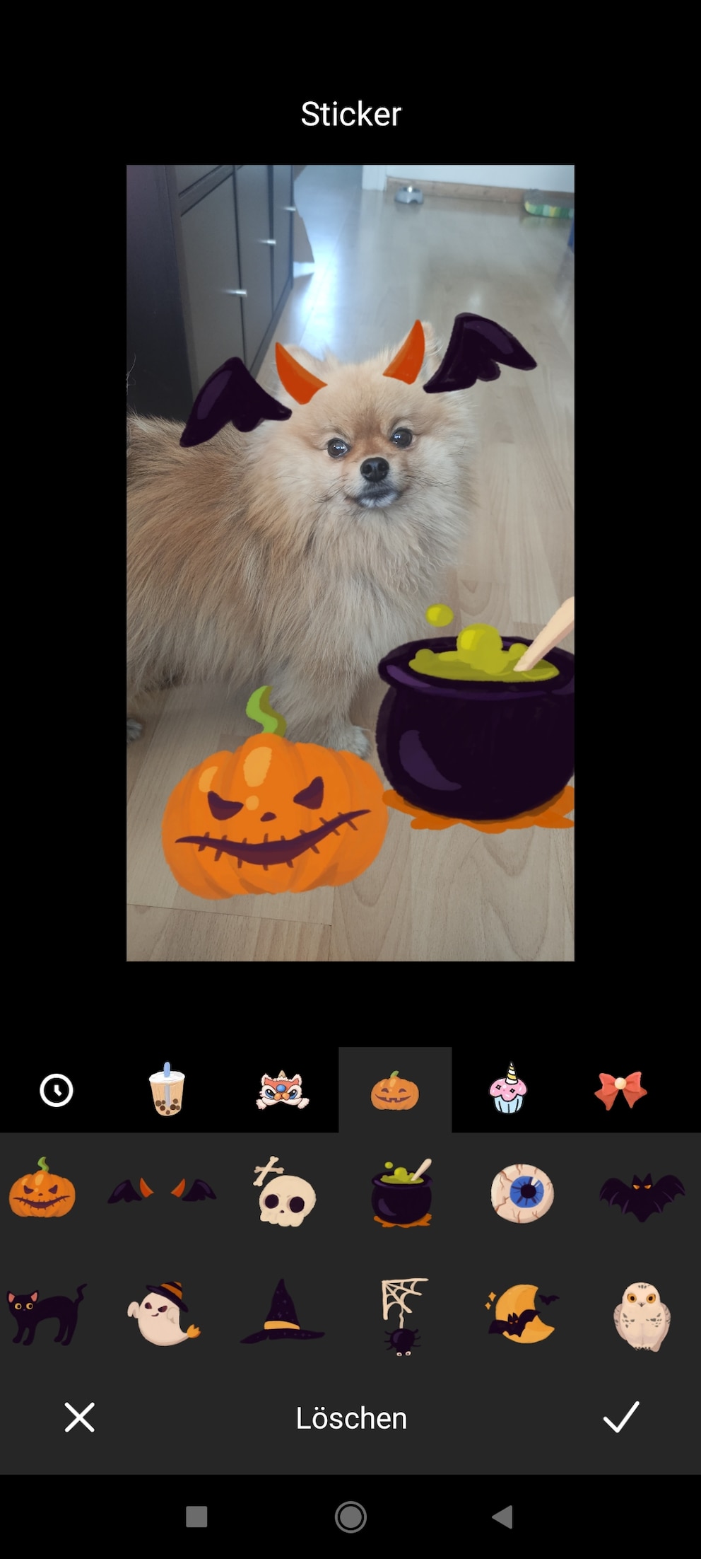 Mit digitalen Stickern lassen sich auf dem Smartphone schnell lustige Halloween-Fotos mit Hund oder Katze erstellen.