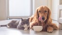 Für Katzen und Hunde ist nur Kräutertee geeignet.
