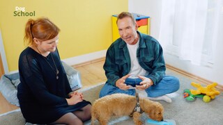 Geli und Ellie sind heute in der PETBOOK Dog School mit Jochen Bendel und lernen richtiges Spielen