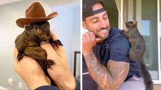 Petfluencer Mark Longo wurde nach einer Razzia sein Eichhörnchen Peanut weggenommen und eingeschläfert. Der Vorfall sorgte für weltweit große Empörung.