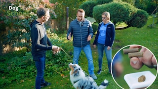 Screenshot aus der Folge Antigiftkörpertraining der PETBOOK Dog School