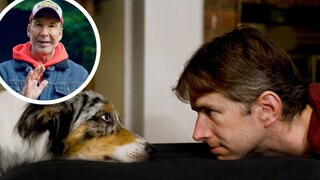 Collage aus Mann und Hund, die sich gegenüberliegen und ansehen und Porträt von Hundetrainer Jochen Bendel