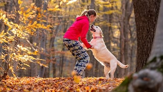 Junge Frau mit Hund im Wald