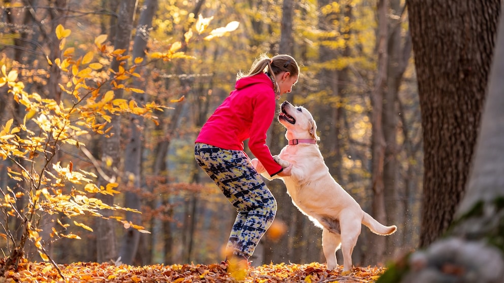 Junge Frau mit Hund im Wald