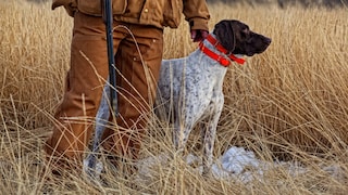 Jäger mit Jagdhund auf Feld