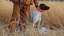 Jäger mit Jagdhund auf Feld