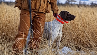 Jäger mit Jagdhund auf Feld