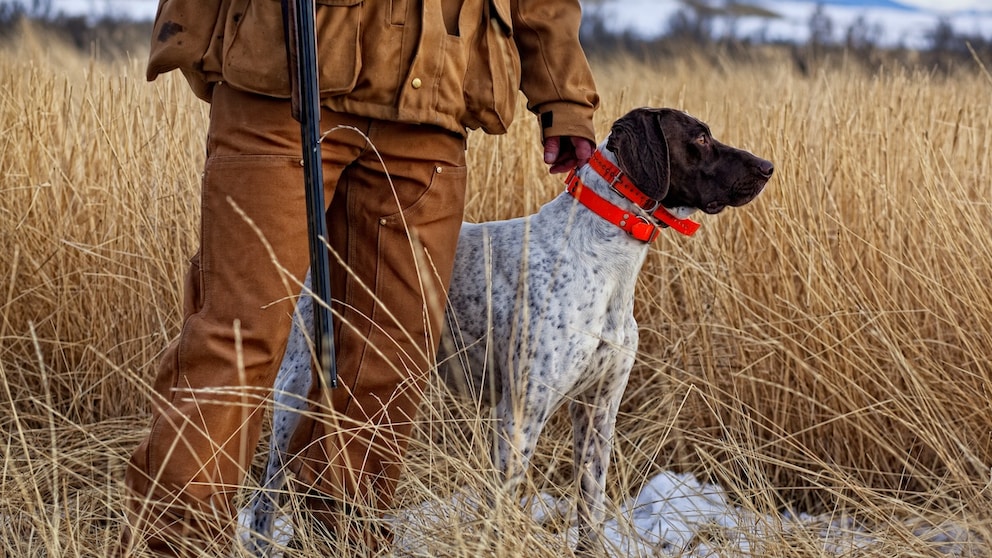 Jäger mit Jagdhund auf Feld