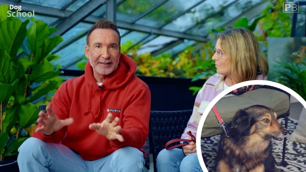 Ausschnitt aus der Folge „Giftige Liebe“ der PETBOOK-dog School Staffel 3 mit Hundetrainer Jochen Bendel