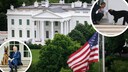 Im Weißen Haus haben schon viele verschiedene Tiere gelebt. Darunter die Hunde von Barack Obama und Joe Biden.