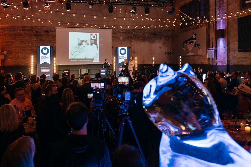 Mehr als 300 geladene Gäste feierten die deutsche Catfluencer Szene bei den Petfluencer Awards in Solingen.
