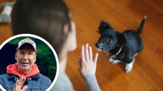 Hundetrainer Jochen Bendel erklärt, wie man wortlos mit dem Hund kommuniziert, um die Bindung zu stärken