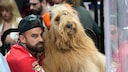 Brodie und sein Besitzer Cliff Brush Jr. beobachten das siebte Spiel des Stanley-Cup-Finales der NHL zwischen den Florida Panthers und den Edmonton Oilers in Sunrise, Florida. Brush reist mit seinem berühmten Goldendoodle Tik Tok durch die ganze Welt.