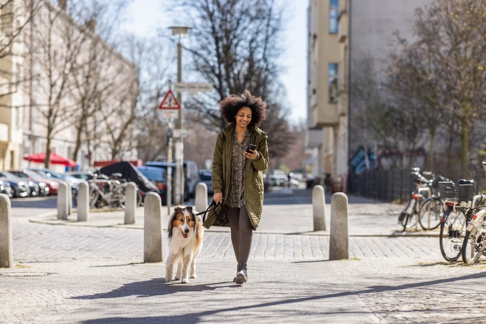 Woher kommt der Begriff „Gassi gehen“? - PETBOOK