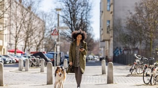 Ob Hundehalter oder nicht, den Begriff „Gassi gehen“ kennt vermutlich jeder – doch woher kommt er eigentlich?