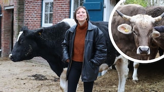 PETBOOK-Autorin Julia Mähl durfte Hof Butenland besuchen, ein außergewöhnliches Altersheim für Milch- und Versuchskühe