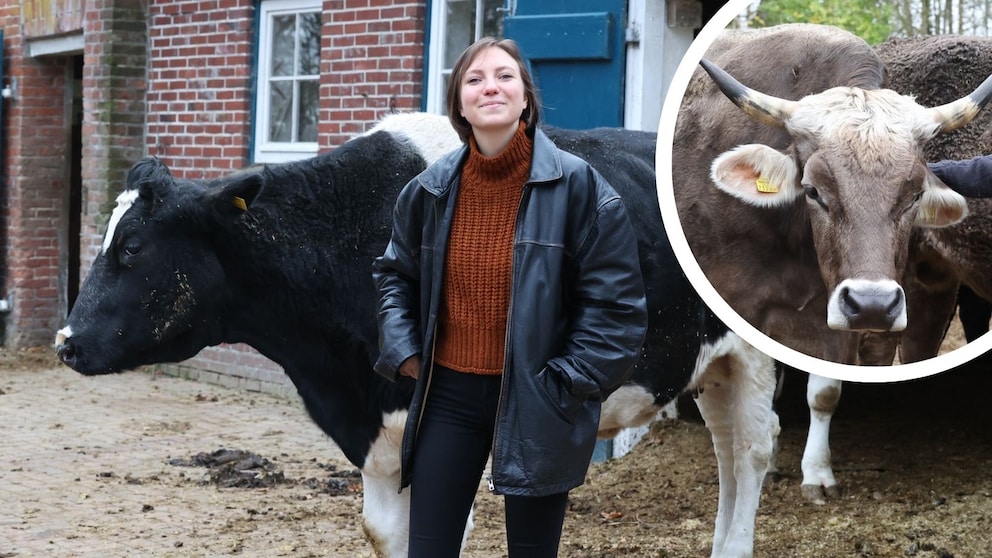 PETBOOK-Autorin Julia Mähl durfte Hof Butenland besuchen, ein außergewöhnliches Altersheim für Milch- und Versuchskühe