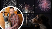 Silvester kann für Hunde besonders belastend sein, da sie ein viel empfindlicheres Gehör haben als Menschen.