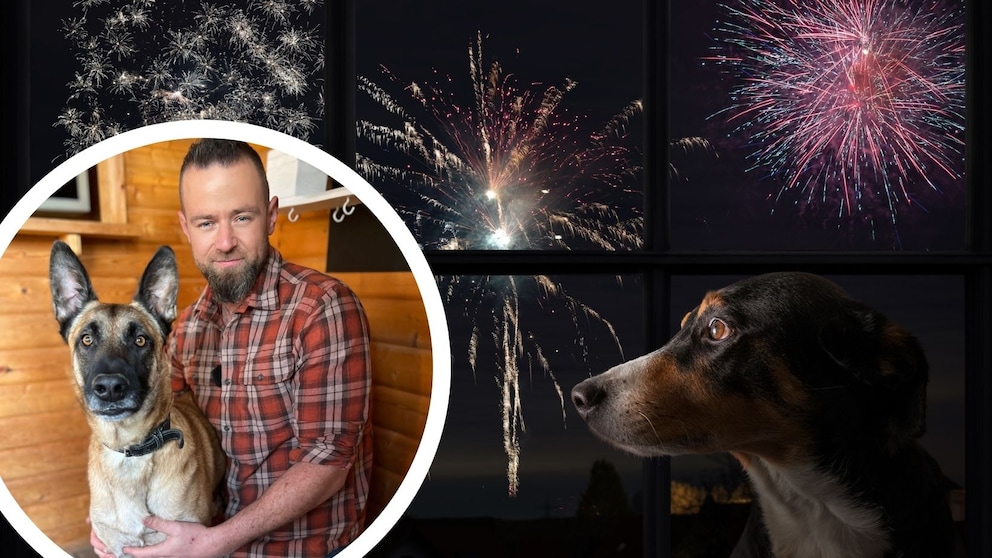 Silvester kann für Hunde besonders belastend sein, da sie ein viel empfindlicheres Gehör haben als Menschen.