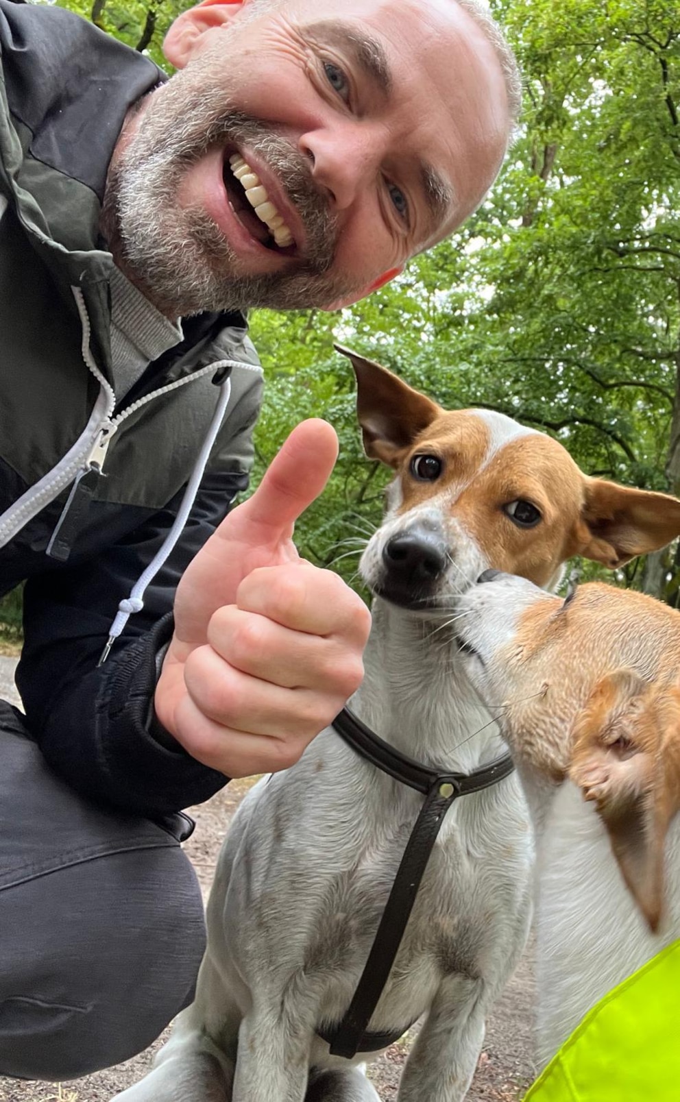 Marc Ebersbach ist staatlich zertifizierter Hundepsychologe und bietet unter anderem Trainings für verhaltensauffällige Hunde an.