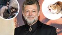 Collage Andy Serkis Gollum Katze