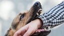 Beißvorfall Hund
