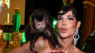 Der Auftritt von Micaela Schäfer bei einem Event zum Dschungelcamp-Auftakt brachte dem Nacktmodel nun eine Anzeige von der Tierschutzorganisation Peta ein