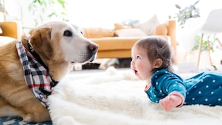 Baby und Hund liegen auf dem Boden