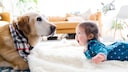 Baby und Hund liegen auf dem Boden