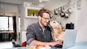 Man sitzt mit Laptop am Frühstückstisch, Hund riecht an seinem Gesicht