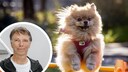 Collage aus Zwergspitz Yumi beim Springen mit Curli-Geschirr und Porträt von CEO Roland Primus (Kresi)