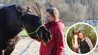 Wieder reiten
