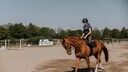 Reiterin auf einem Pferd