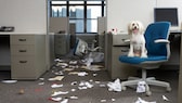 Hund sitzt auf Bürostuhl in einem vermüllten Büro