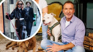 Jochen Bendel fordert ein Bußgeld für Hundebesitzer, die beim Gassigehen telefonieren, um die Mensch-Hund-Bindung zu stärken.