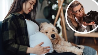 Collage aus Schwangerer mit Hund auf dem Sofa und Porträt von Hundetrainerin Katharina Marioth