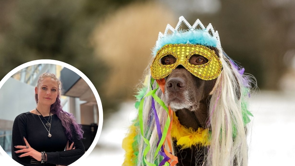 Zu Karneval stecken viele ihren Hund in ein Kostüm – ein Trend, der Verboten werden sollte, meint PETBOOK-Redakteurin Saskia Schneider