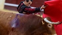 Ein Torero steht mit einem verletzten Stier in der Arena.