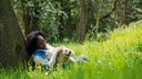 Achtsamkeit Hund