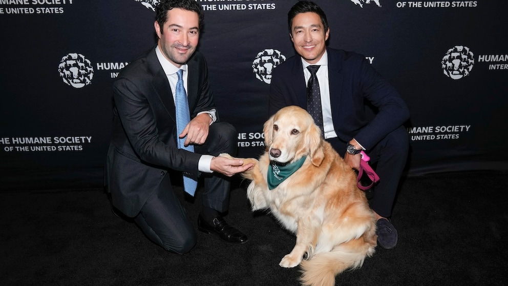 Daniel Henney und seine Golden-Retriever-Hündin Juliette bei einer Charity-Veranstaltung