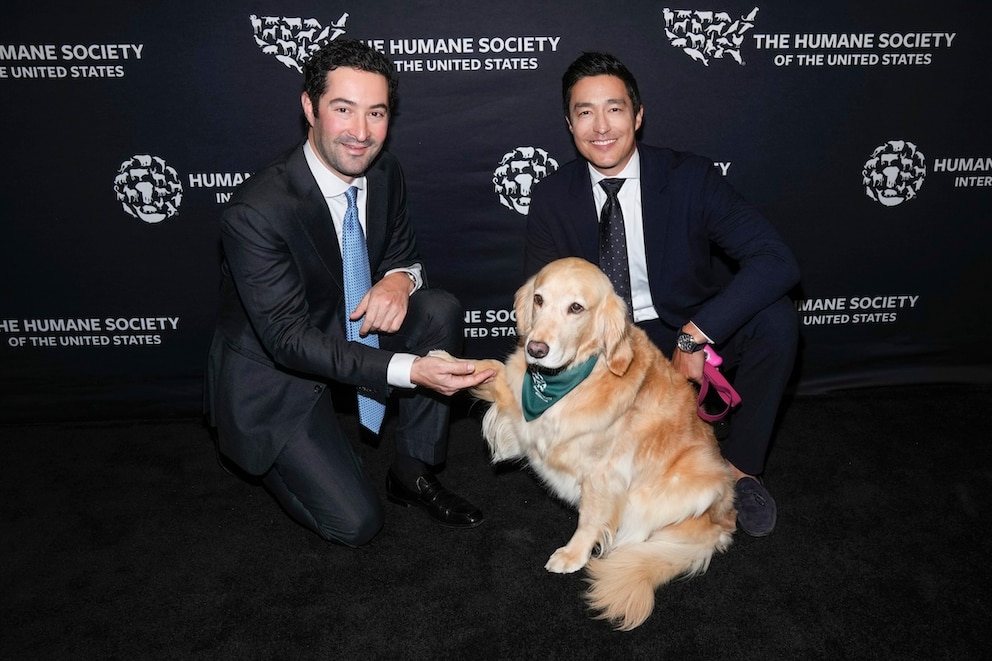 Daniel Henney und seine Golden-Retriever-Hündin Juliette bei einer Charity-Veranstaltung