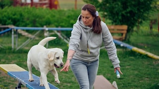 Doggy Fitness