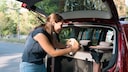 Hund sicher transportieren