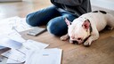Frau macht sich an die Hundesteuer mit einem Hund neben ihr