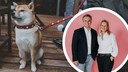 Collage aus Hund mit Swiss-Halsband der Marke Hunter und Nadine Trautwein und Jan O&szlig;enbrink im Portr&auml;t (Kreis)