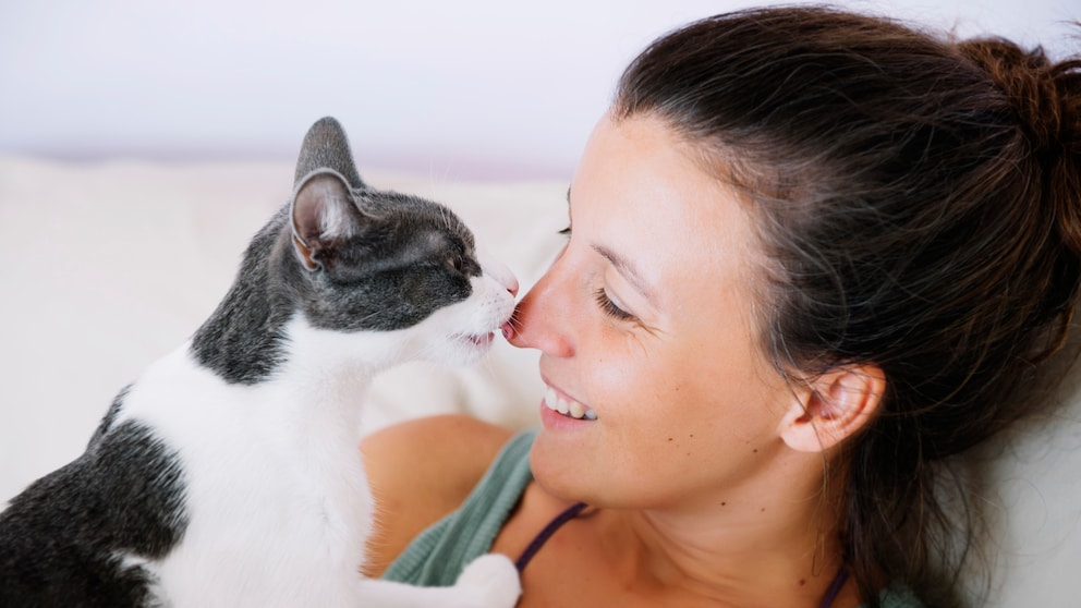 Eine Katze leckt ihre Halterin ab