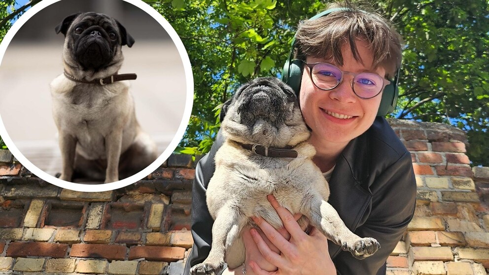 Hundehalterin Alina Koenen kuschelt sich an ihren Mops