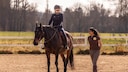 Wiedereinstieg Reiten