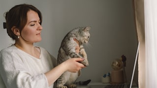 Halterin mit ihrer Katze bei einer Online-Sprechstunde beim Tierarzt